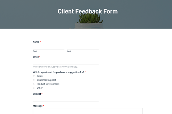 feedbackformpreview