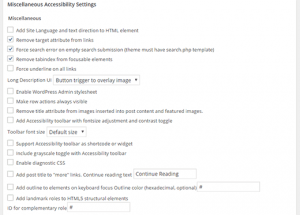 misc-accessibility-settings